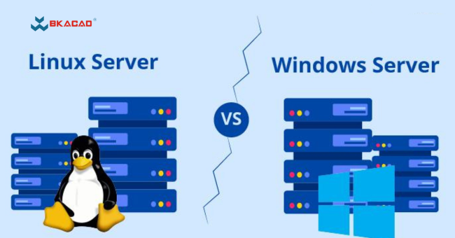 Linux hay Windows Server: Hệ điều hành nào phù hợp cho quản trị hệ thống?