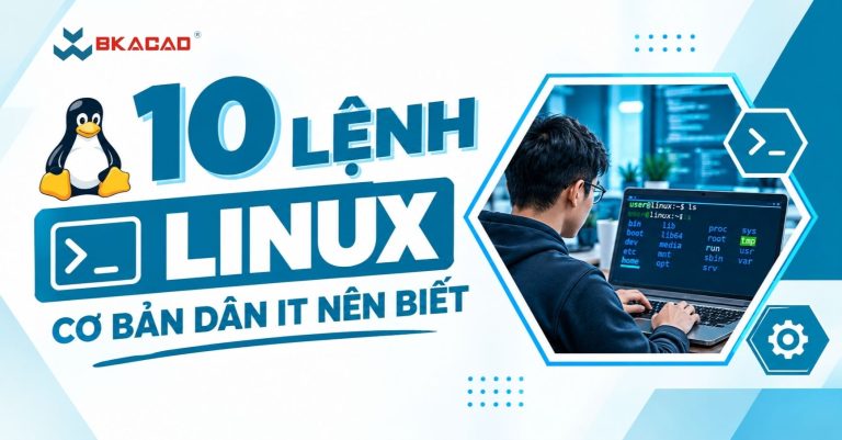 10 lệnh Linux cơ bản dân IT nên biết: Cú pháp và cách sử dụng thực tế
