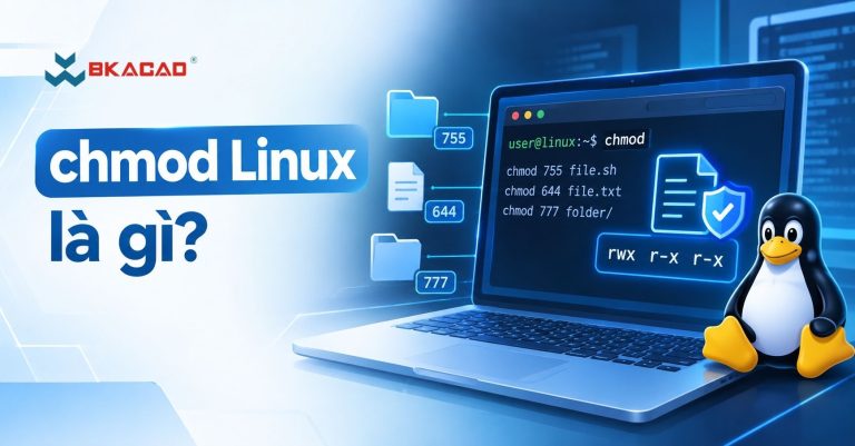 chmod Linux là gì? Hướng dẫn phân quyền file và thư mục trong Linux