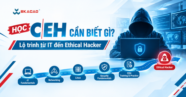 Học CEH cần biết gì? Lộ trình từ IT đến Ethical Hacker